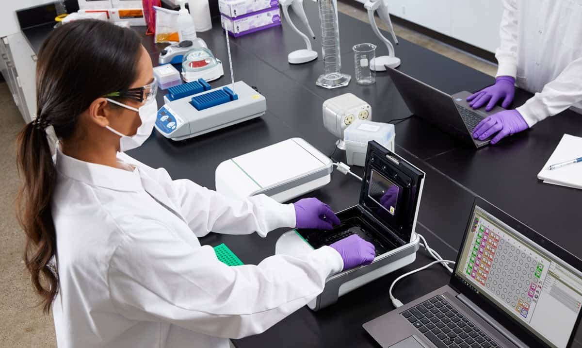 Deteccion Molecular
